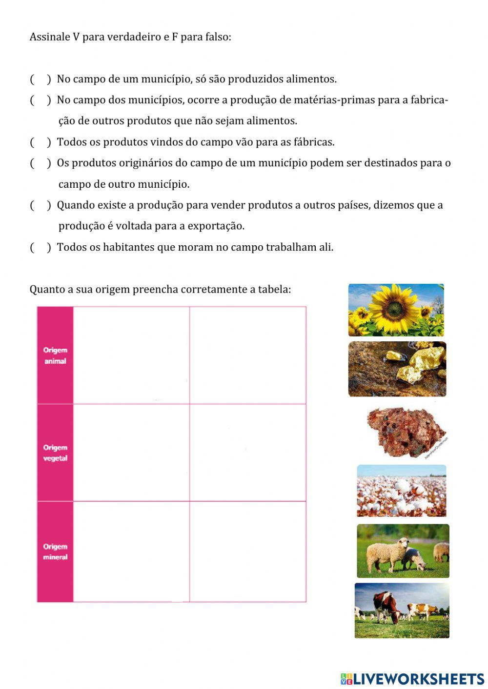 Atividade de Revisão de Geografia