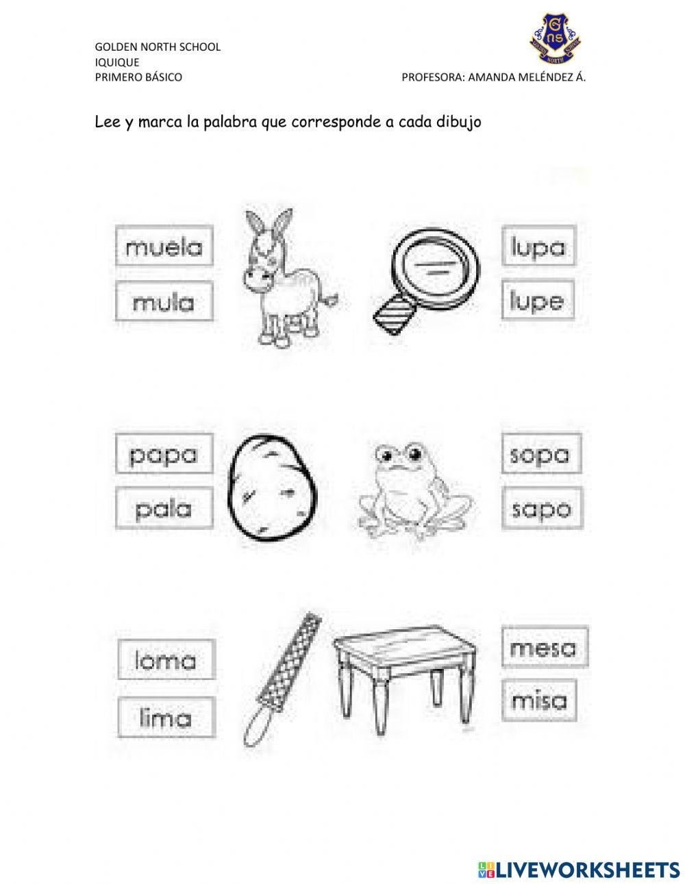 Identificación de sílabas y escritura de palabras.