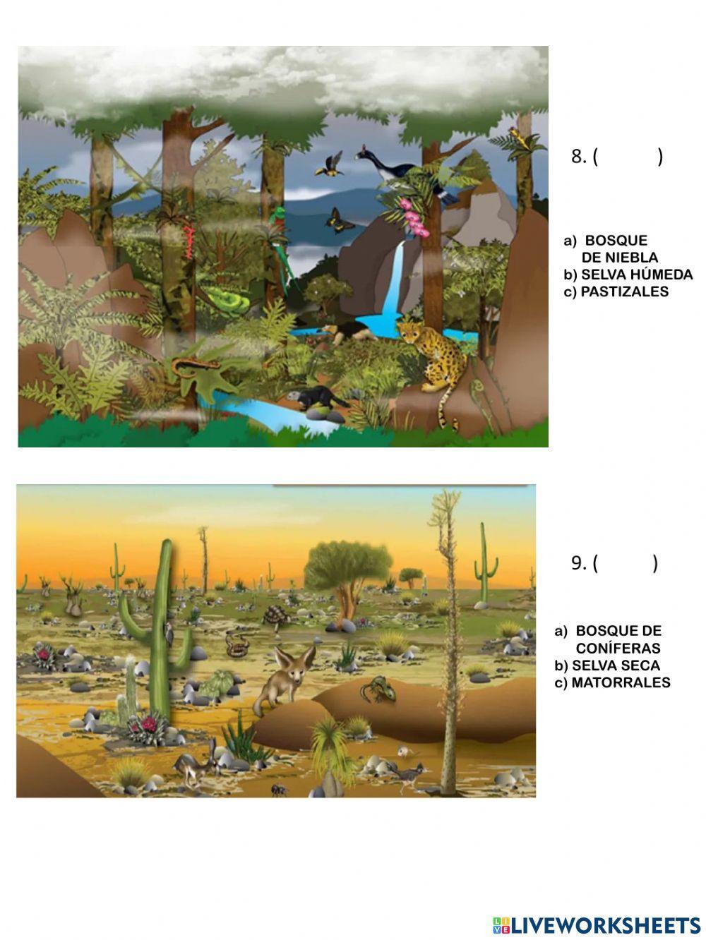 Examen de Geografía