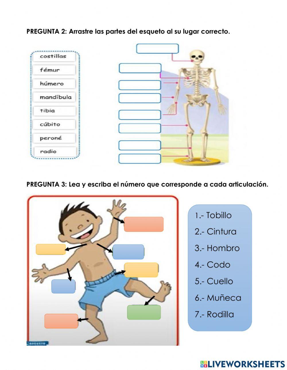 Evaluacion de ciencias naturales