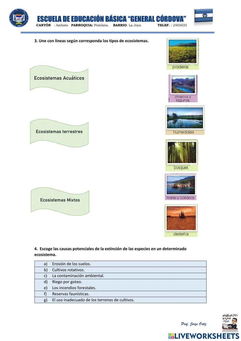 Evaluación 2q Ciencias naturales