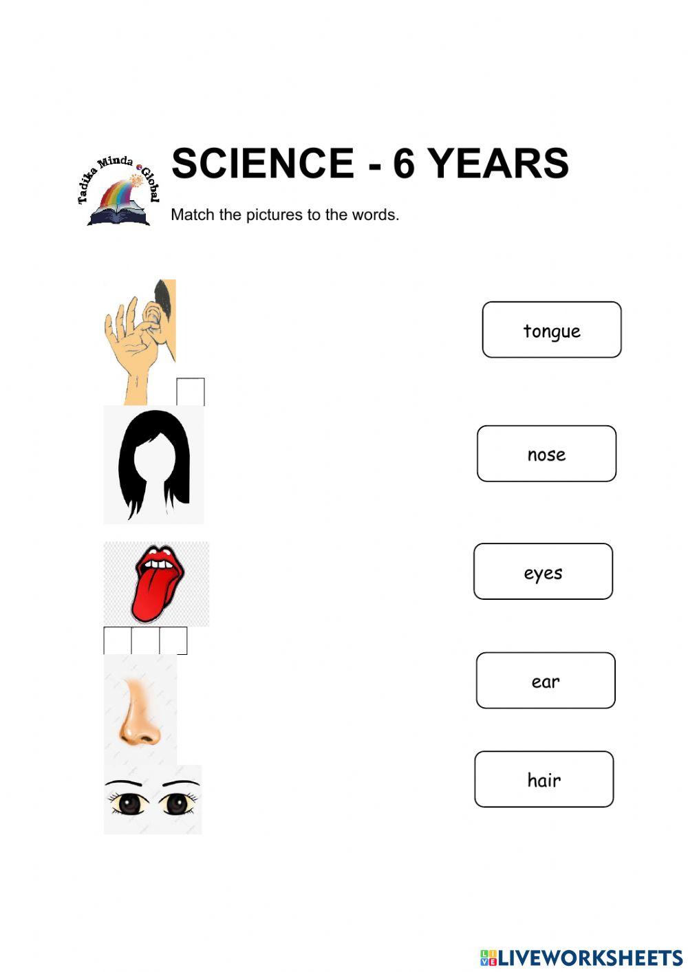 6 Years: Sciences (Body Part 2)