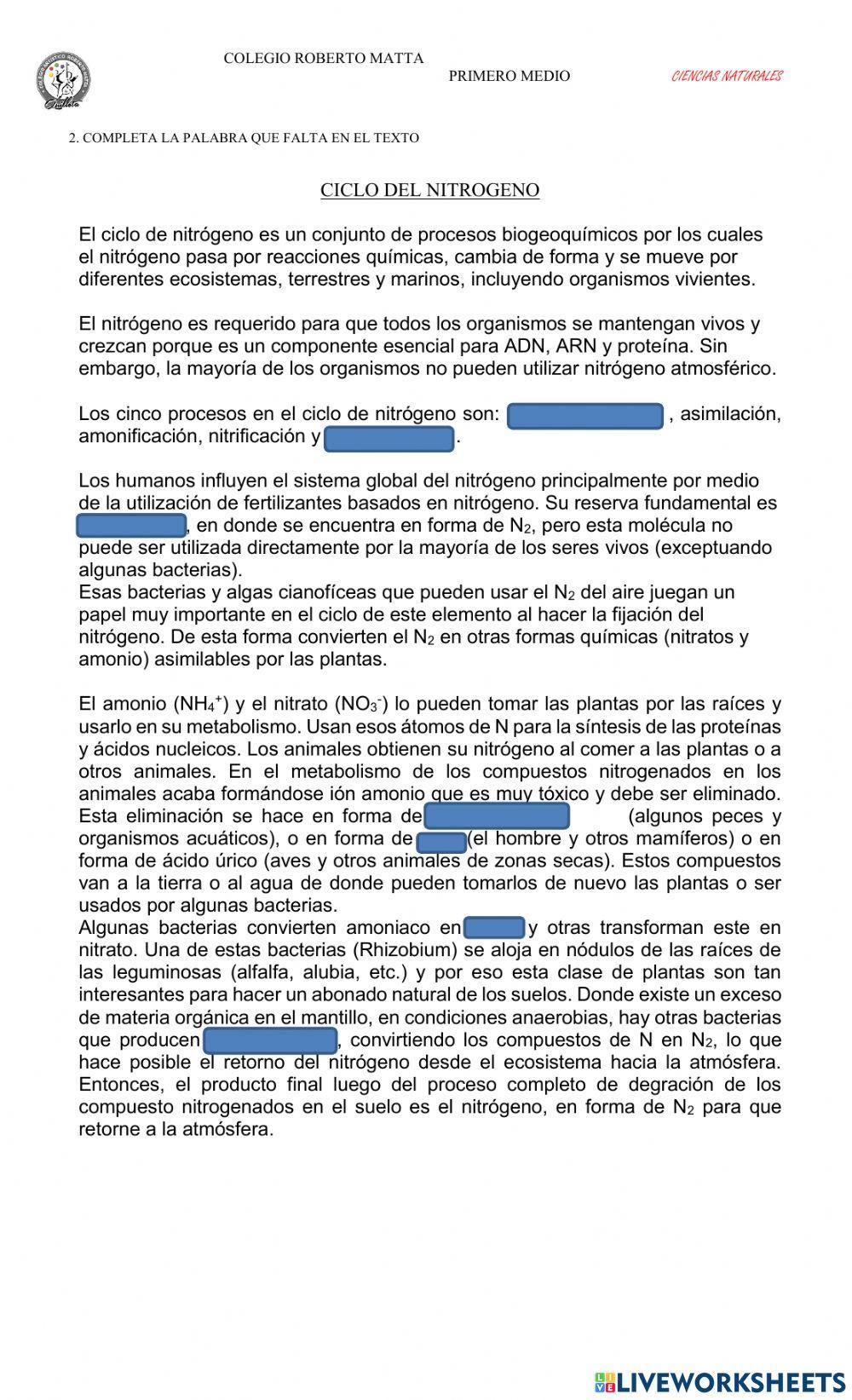 Ciclo del nitrógeno