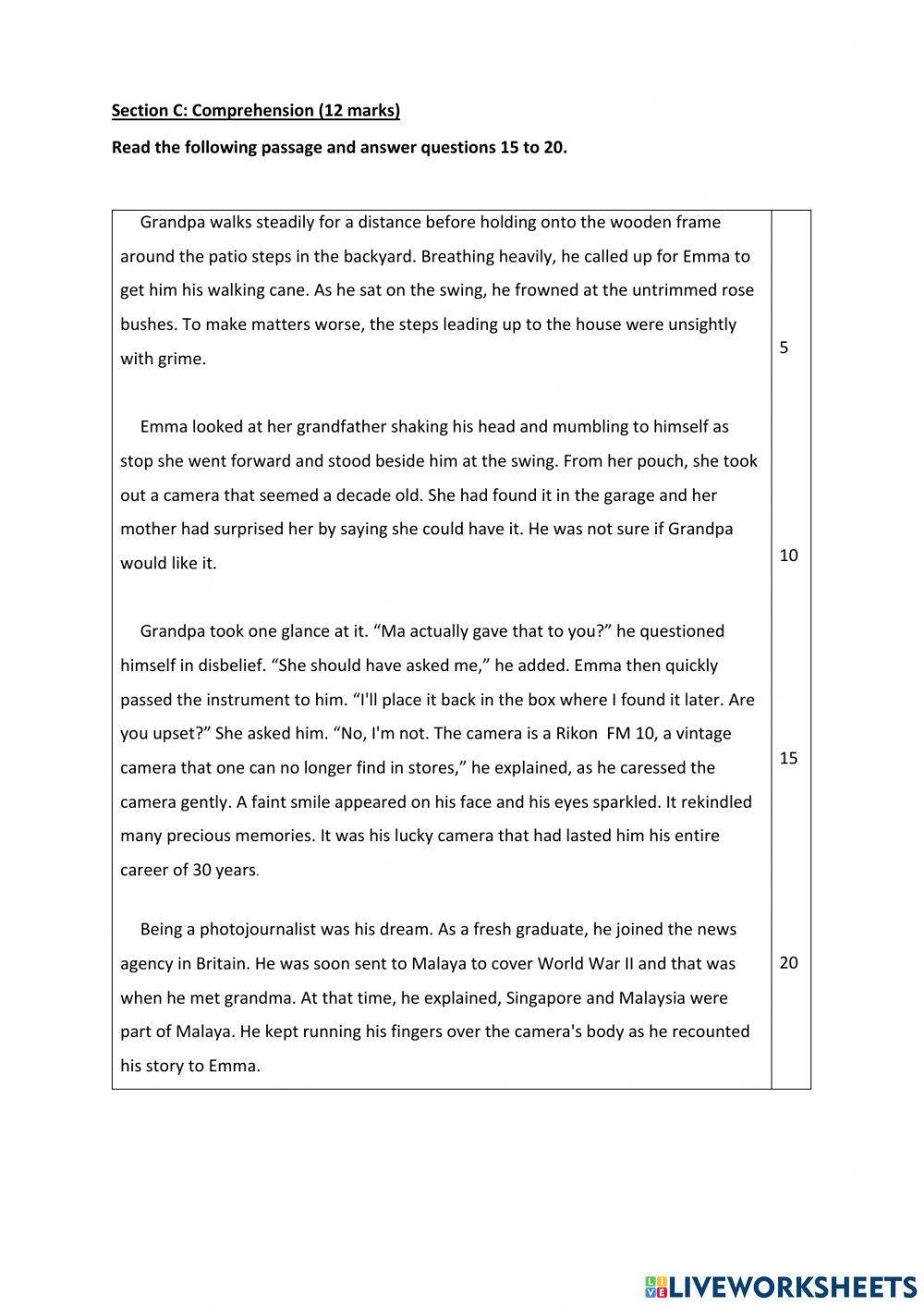 Year 6 English Placement Test