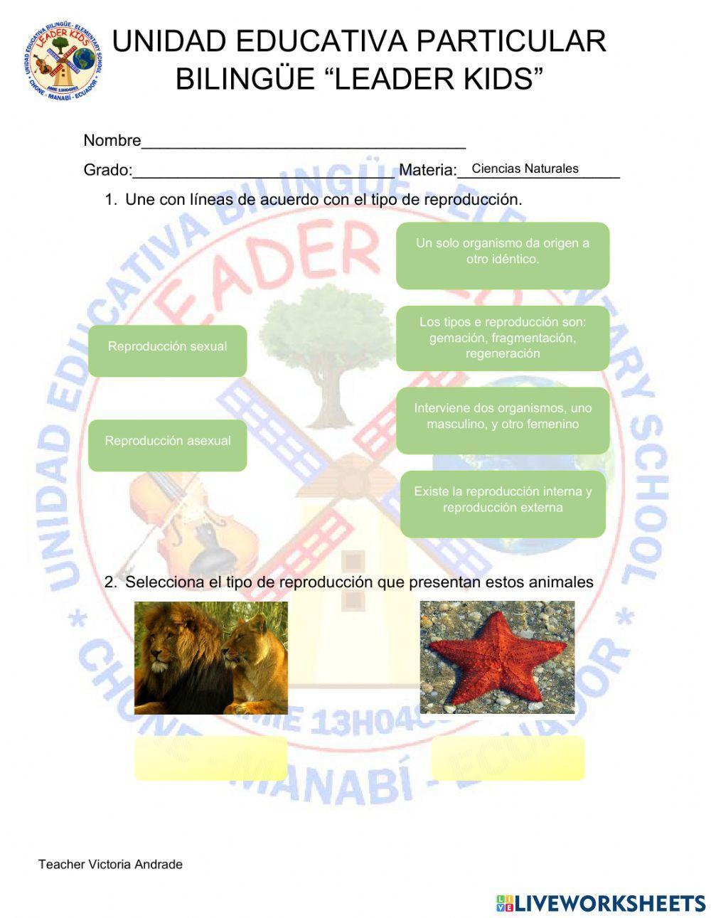 Tipos de reproducción