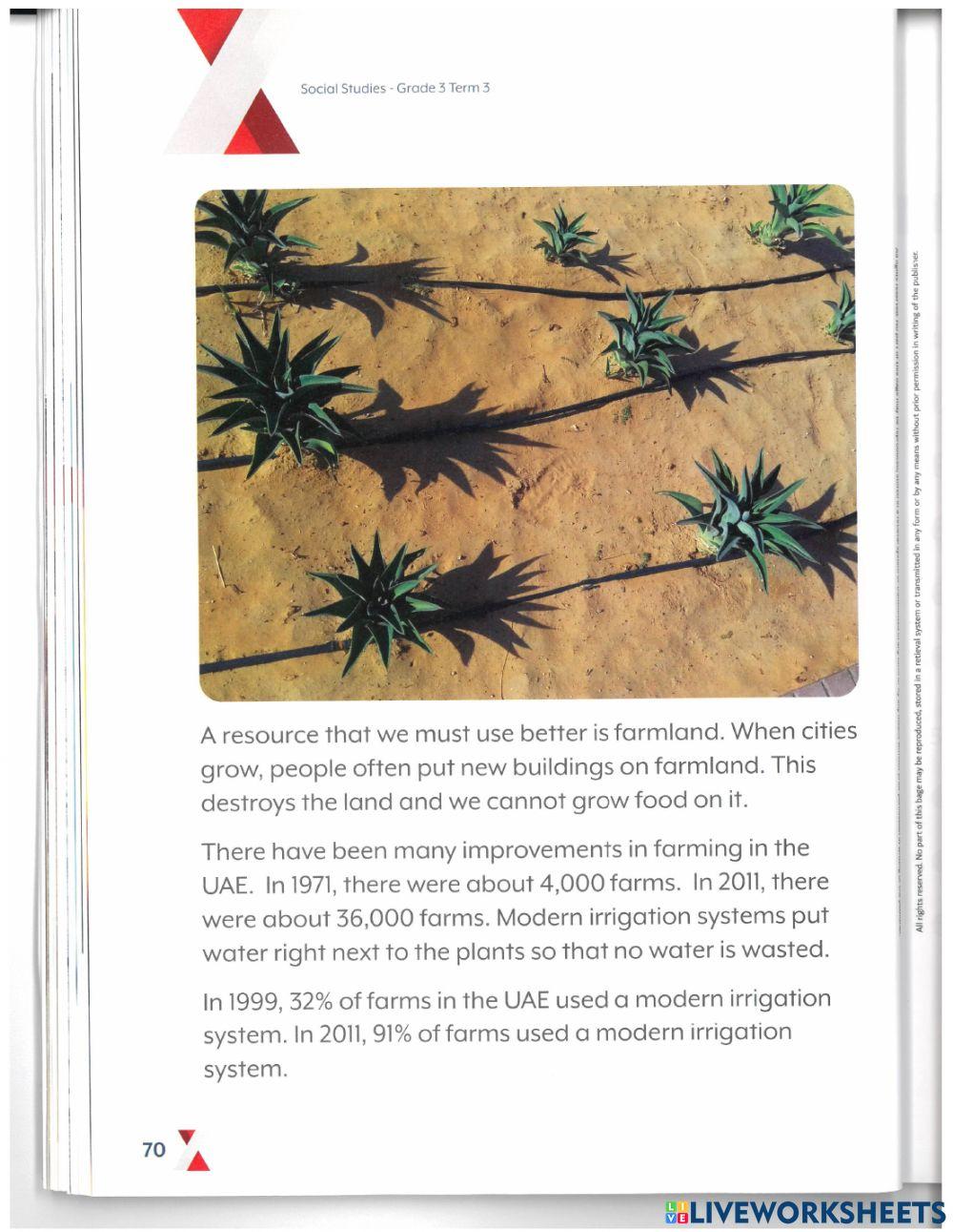 DIS UAE SS Term 3 lesson 10