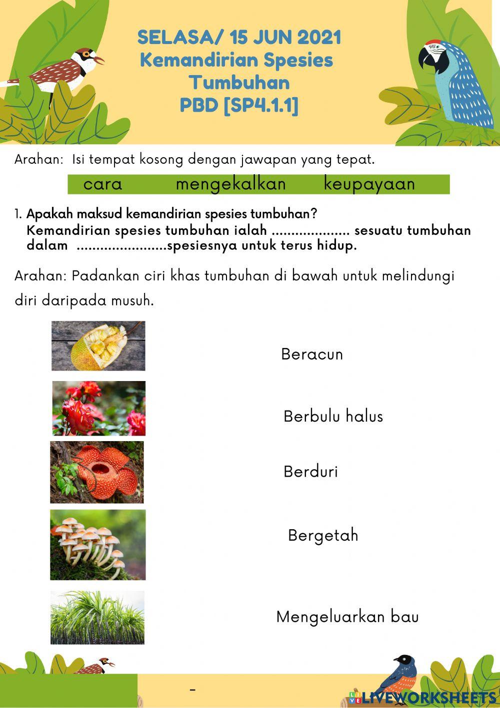 Kemandirian spesies tumbuhan