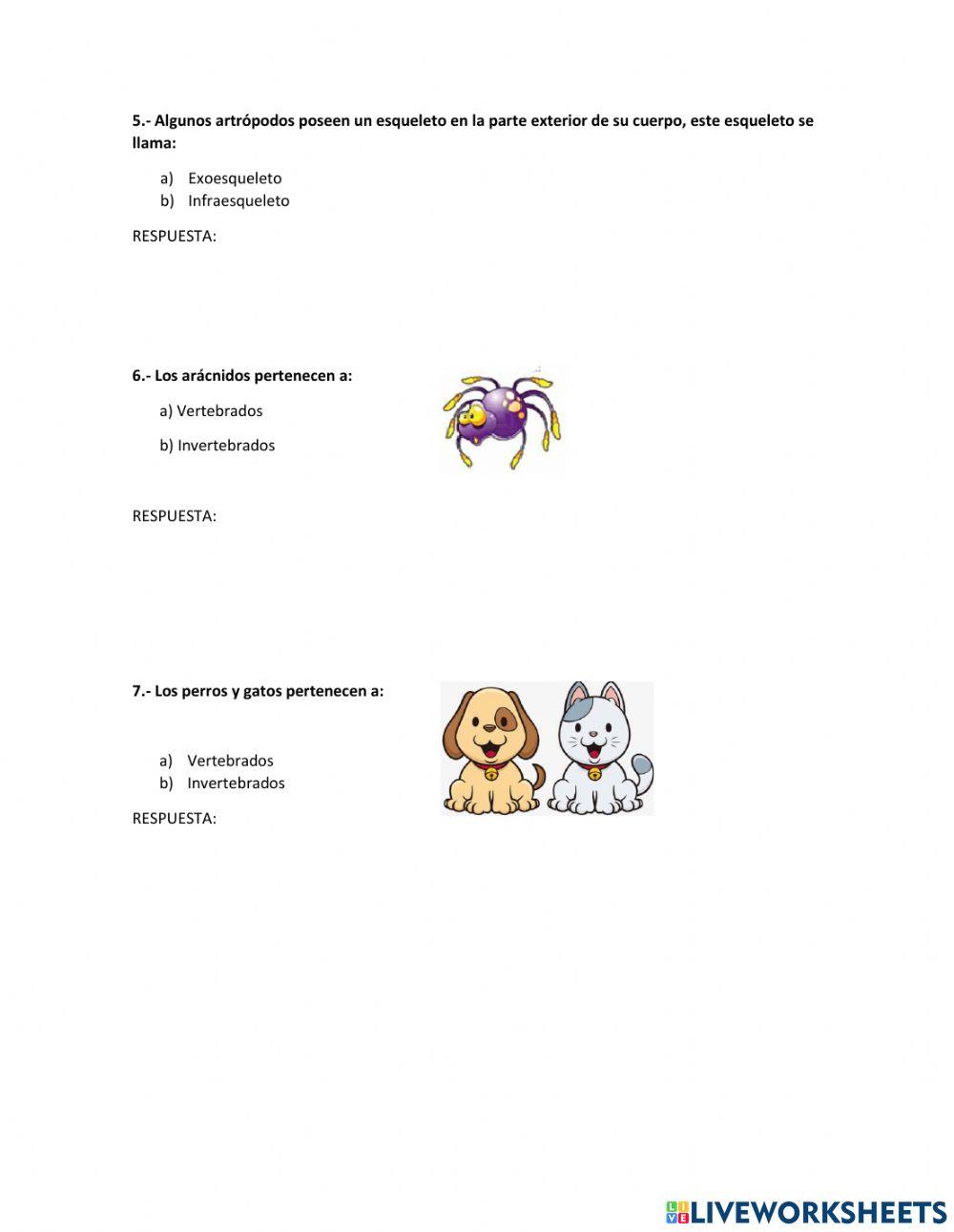 Guia musical animales