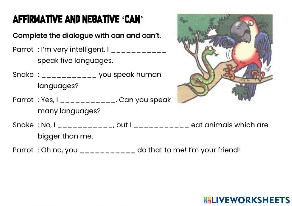 Affirmative and Negative 'can'