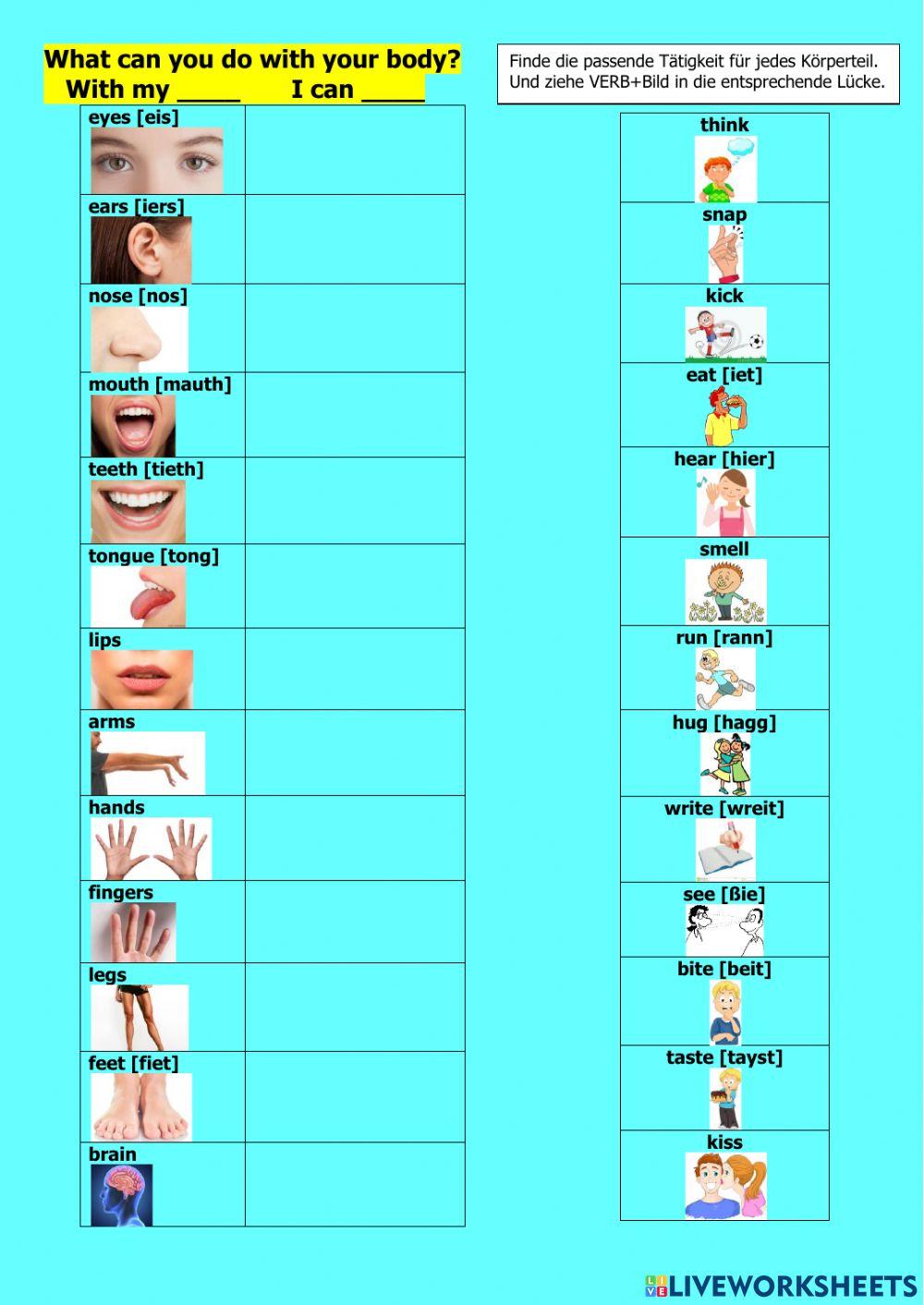 Parts Of The Body Online Exercise For Beginners Live Worksheets parts-of-the-body-online-exercise-for-beginners-live-worksheets