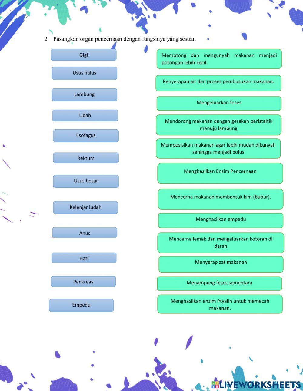 Sistem Pencernaan Makanan