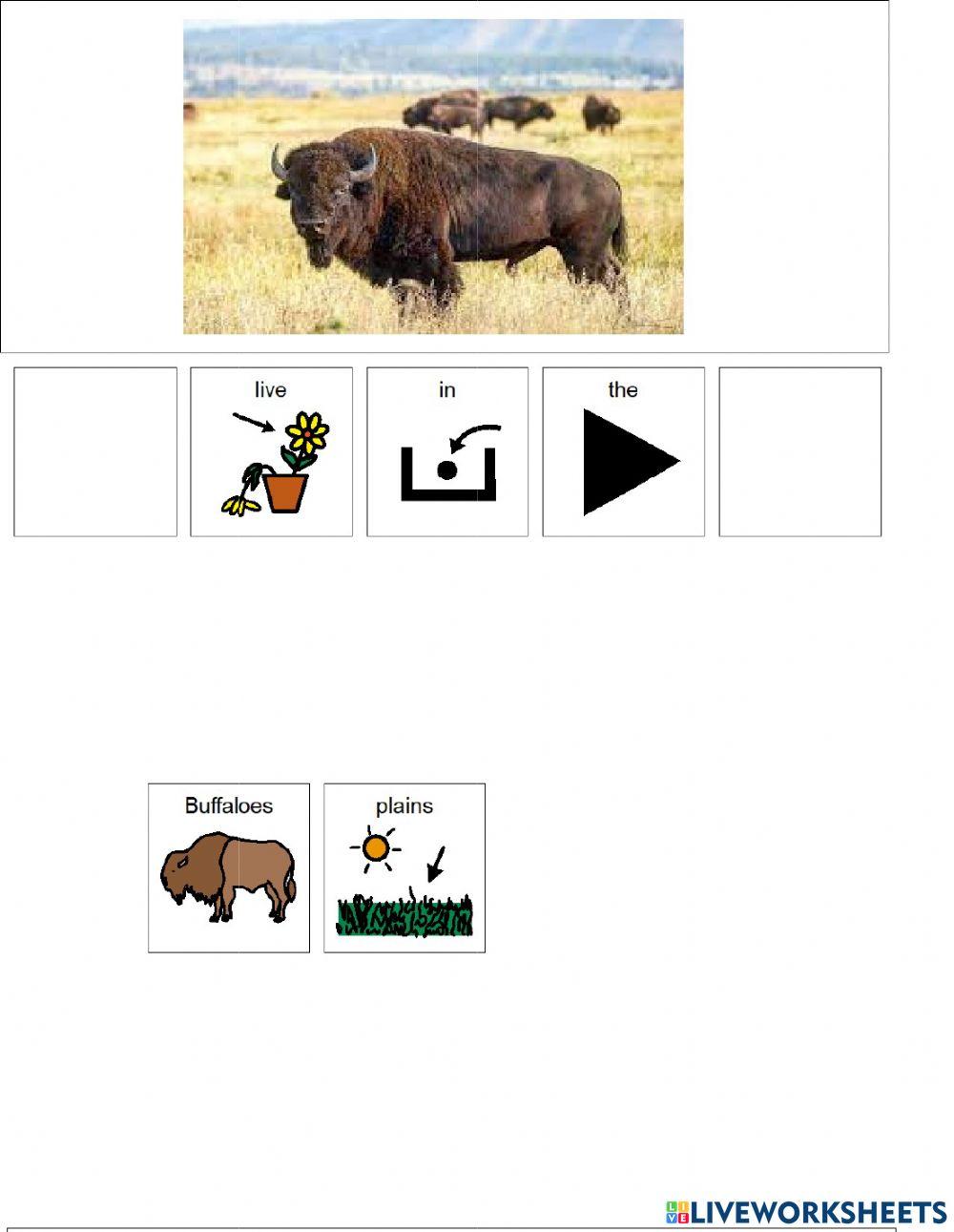 Animal Habitats (plains) Animal Habitats (plains)