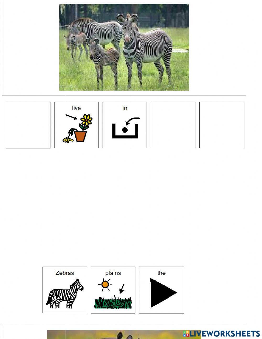 Animal Habitats (plains) Animal Habitats (plains)