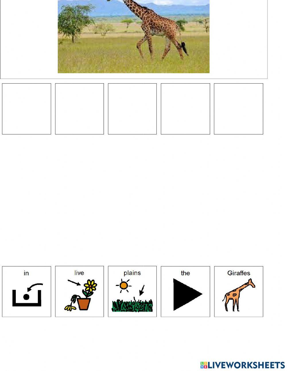 Animal Habitats (plains) Animal Habitats (plains)