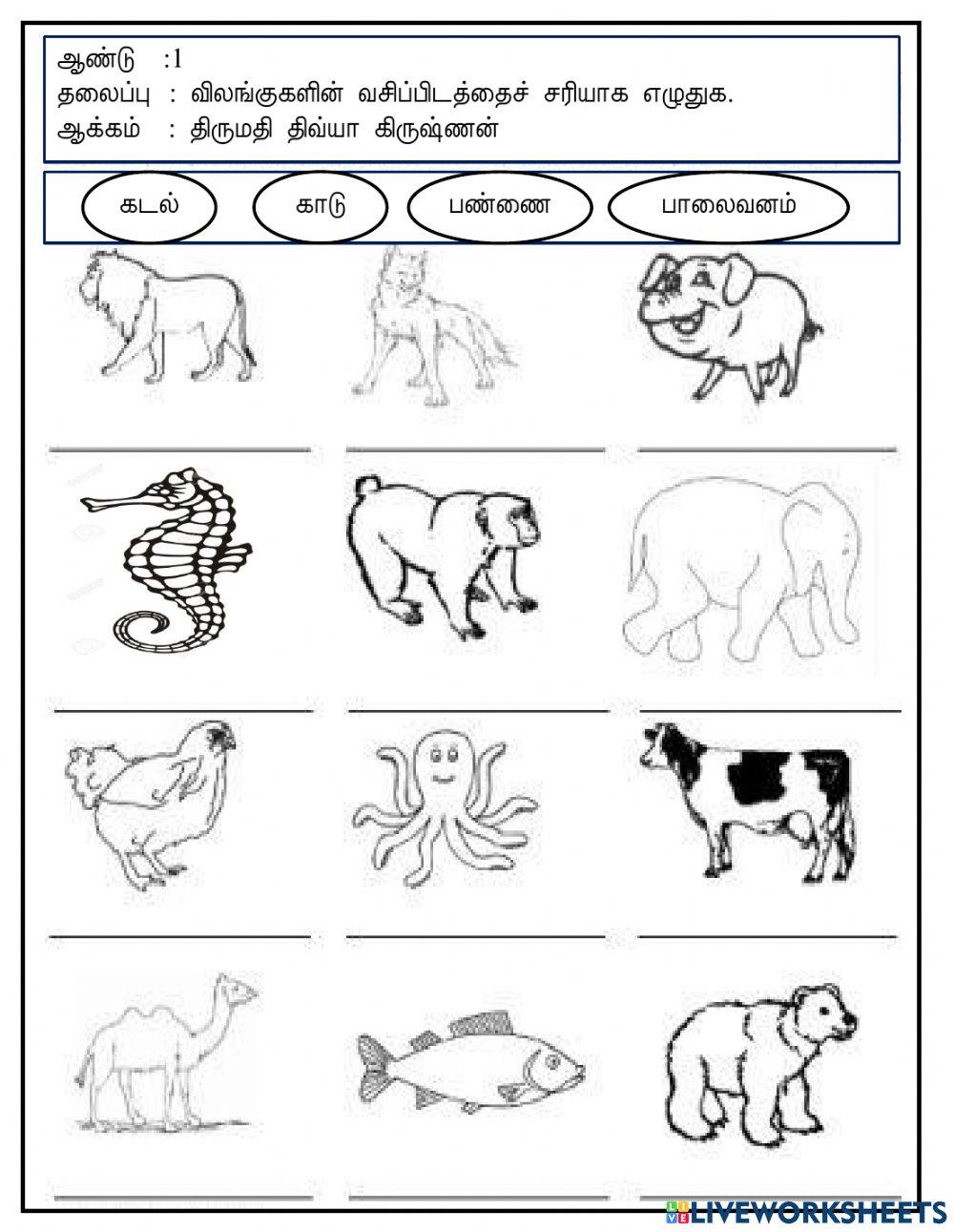 அறிவியல்