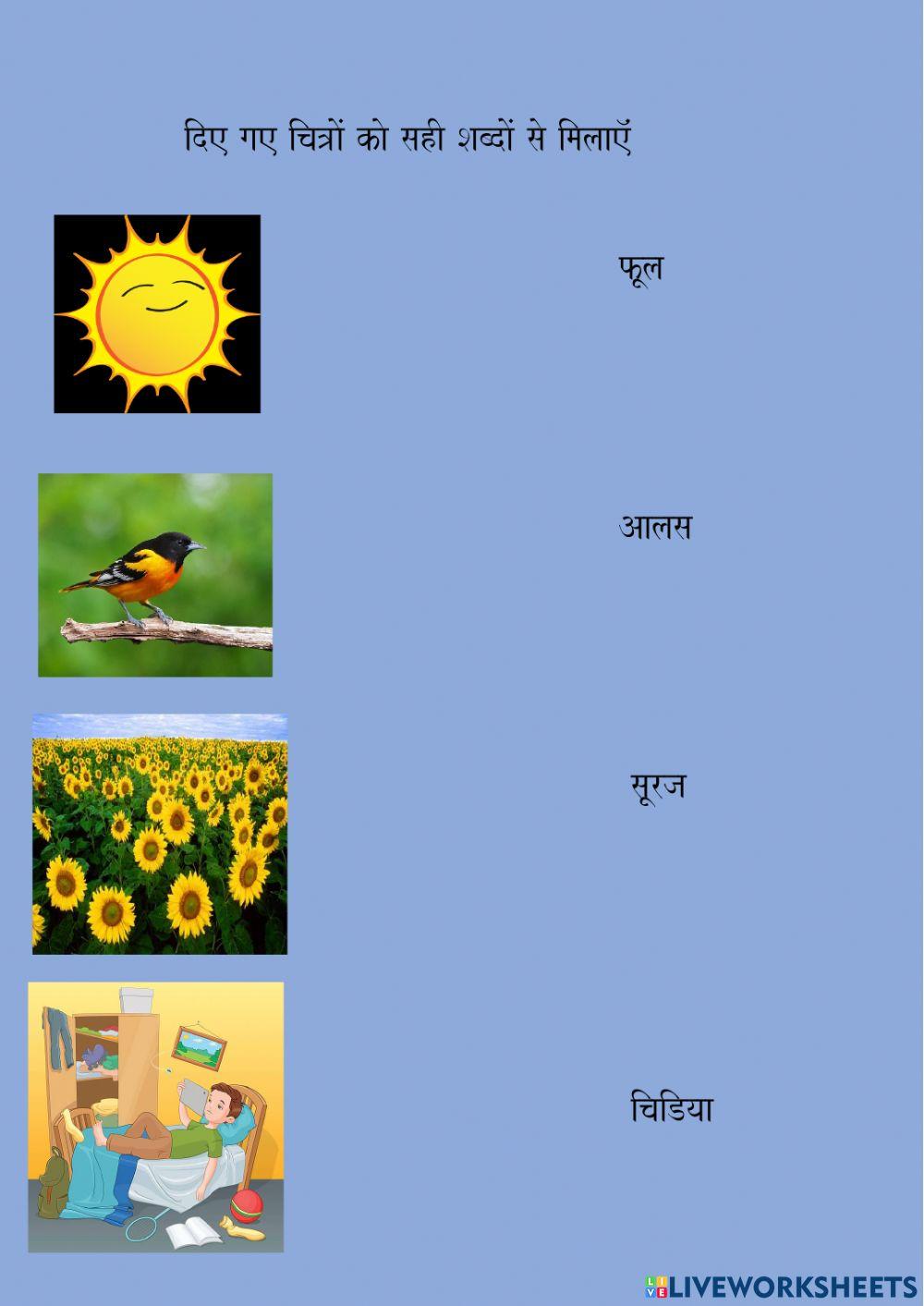 Match the picture with the right word