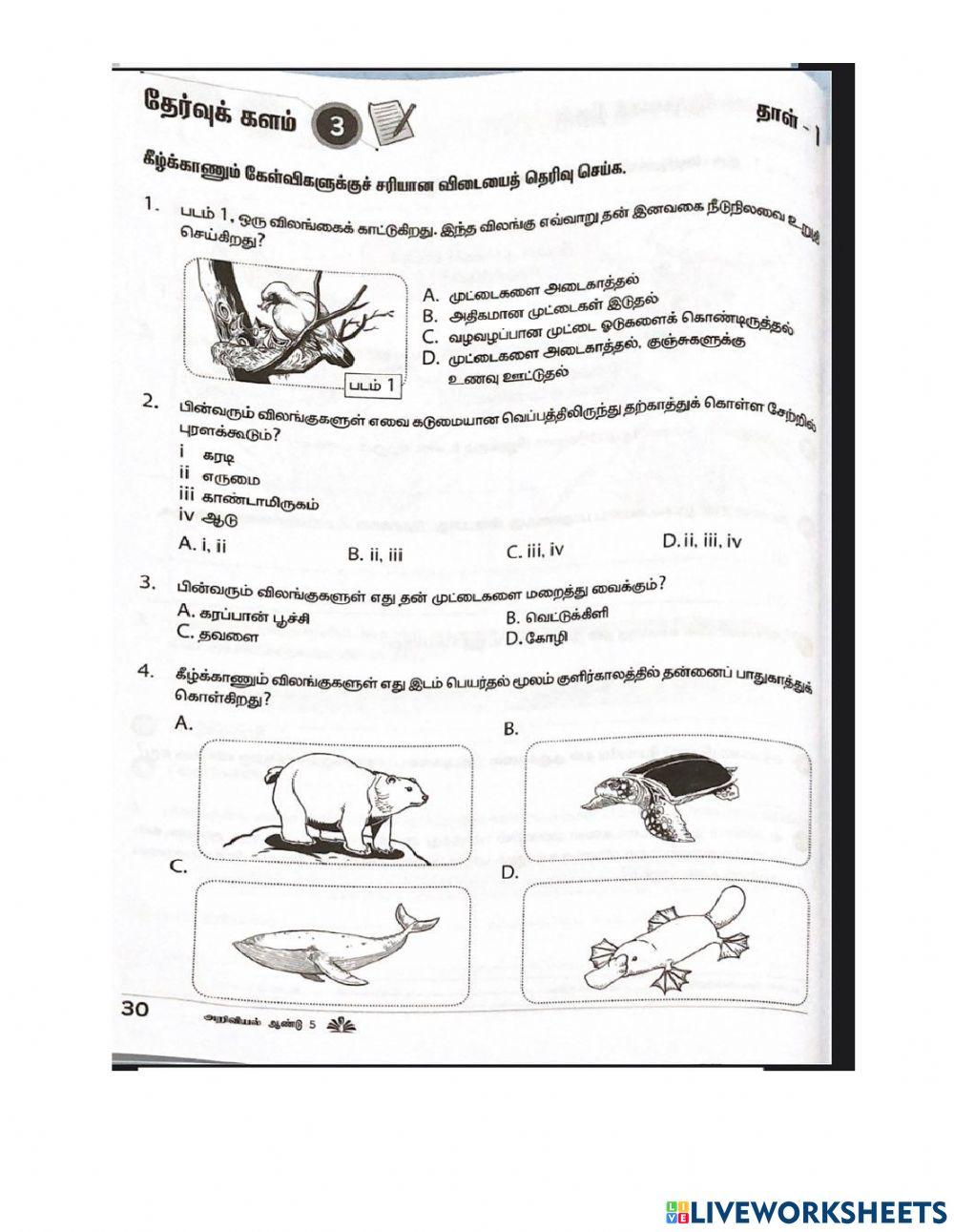 அறிவியல் ஆண்டு 5