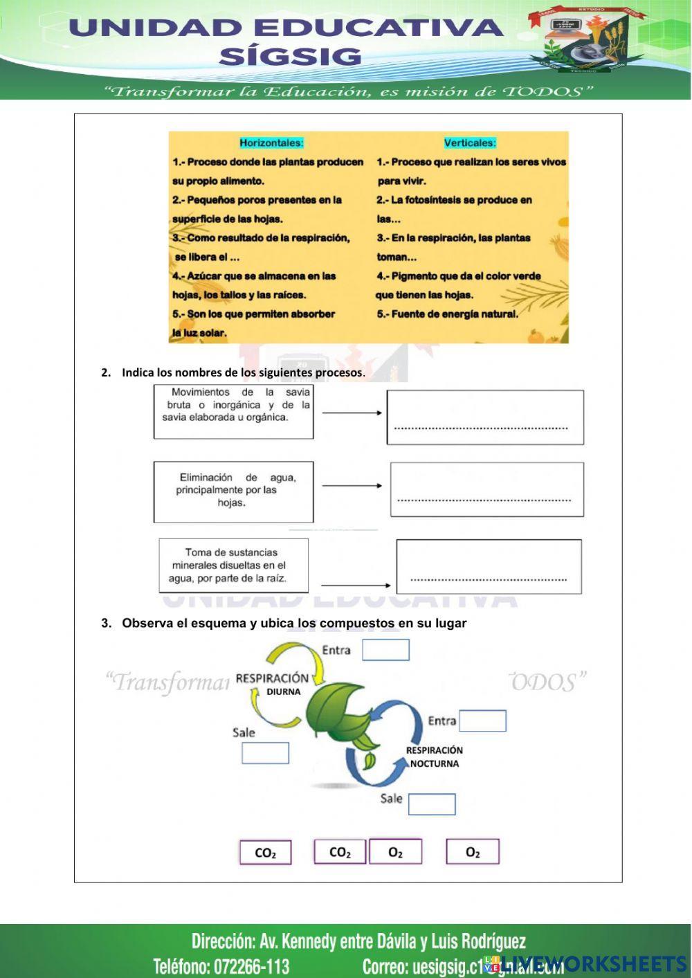 Tejidos animales y vegetales