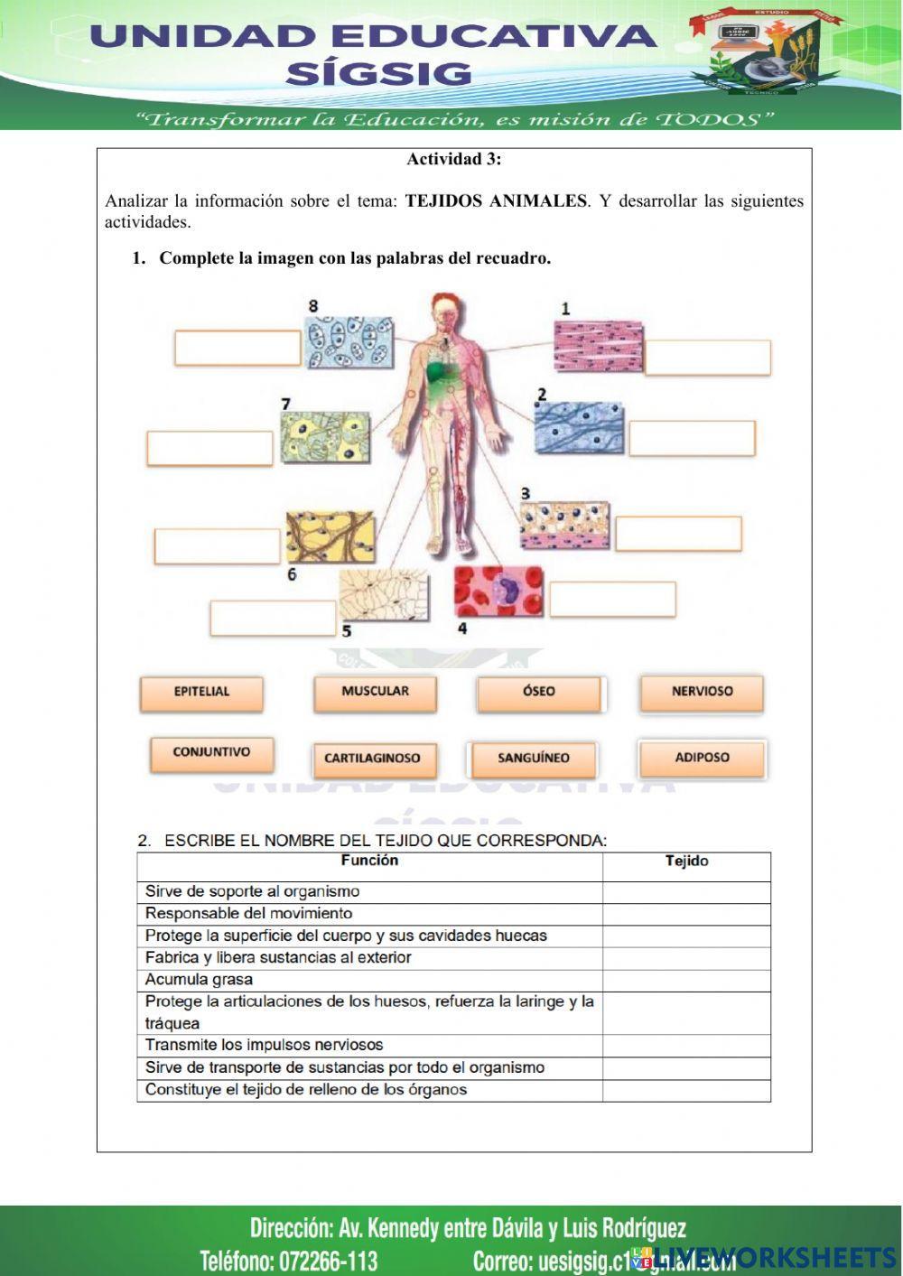 Tejidos animales y vegetales