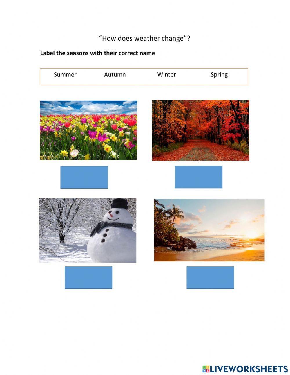 Science Third Quarterly Exam