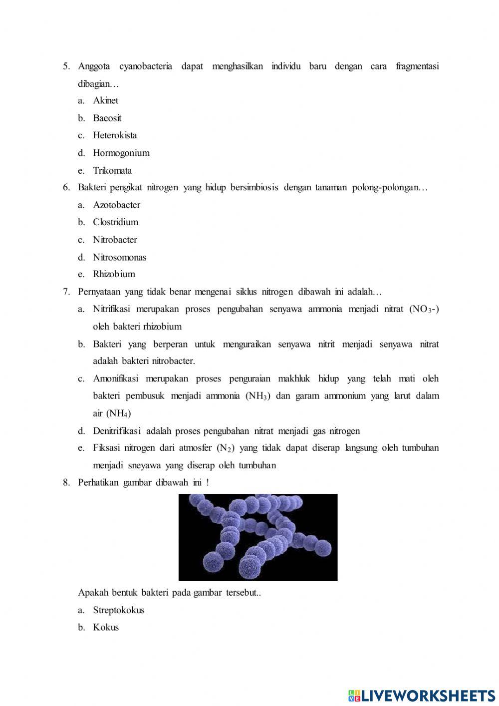 Soal Objective Uji Kompetensi Modul Bakteri