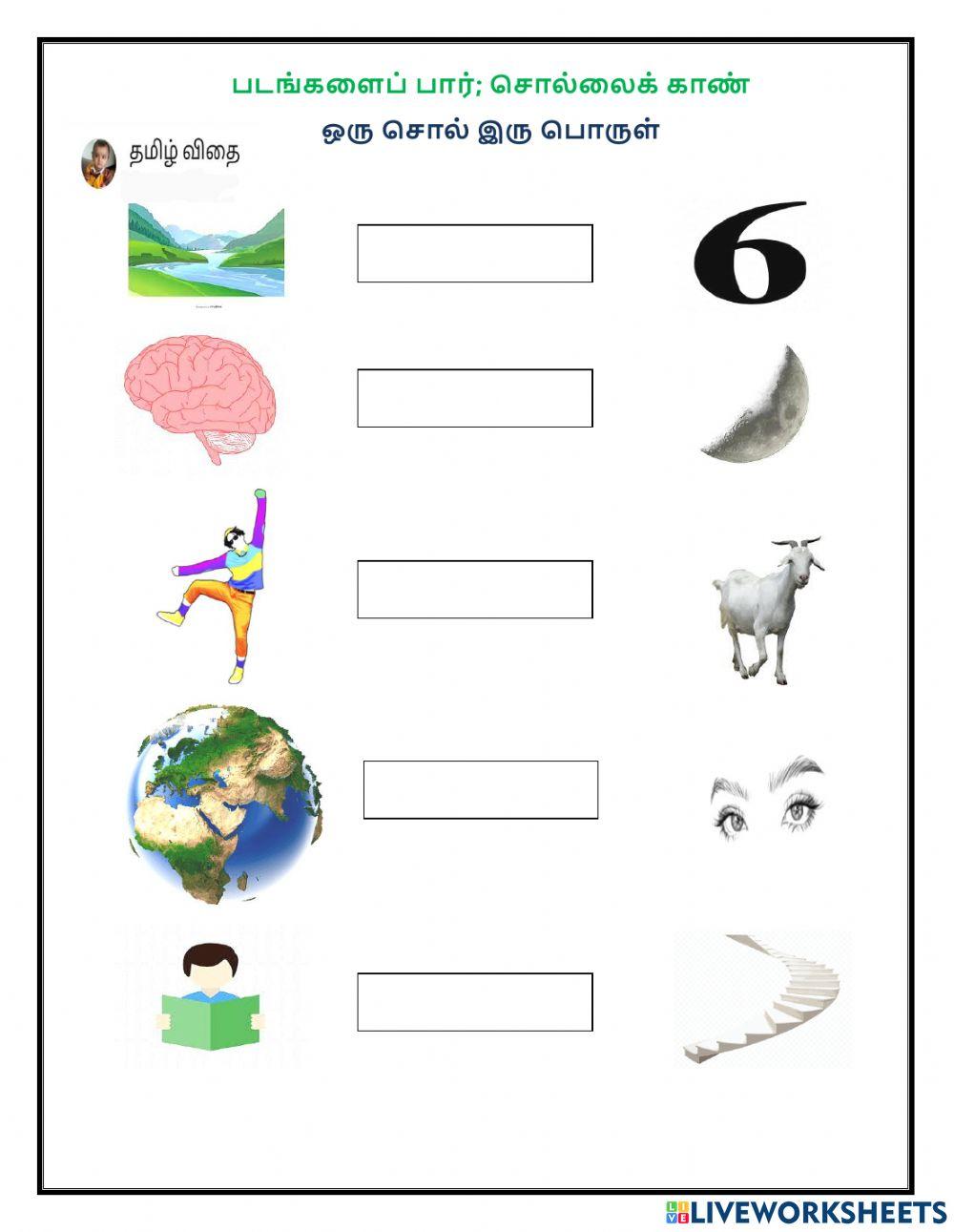 ஒரு சொல் இரு பொருள்