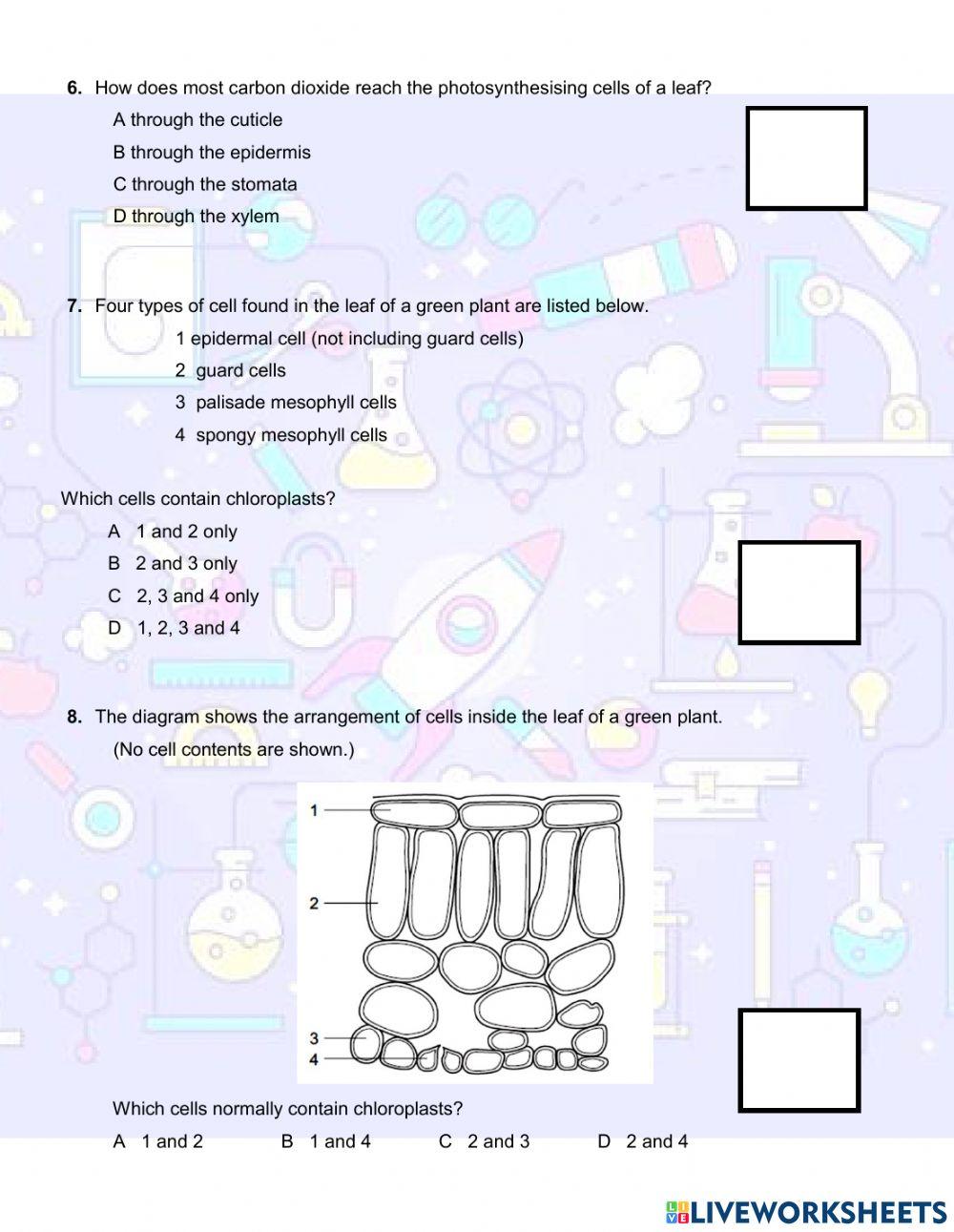 Plant NUtrition and Transport