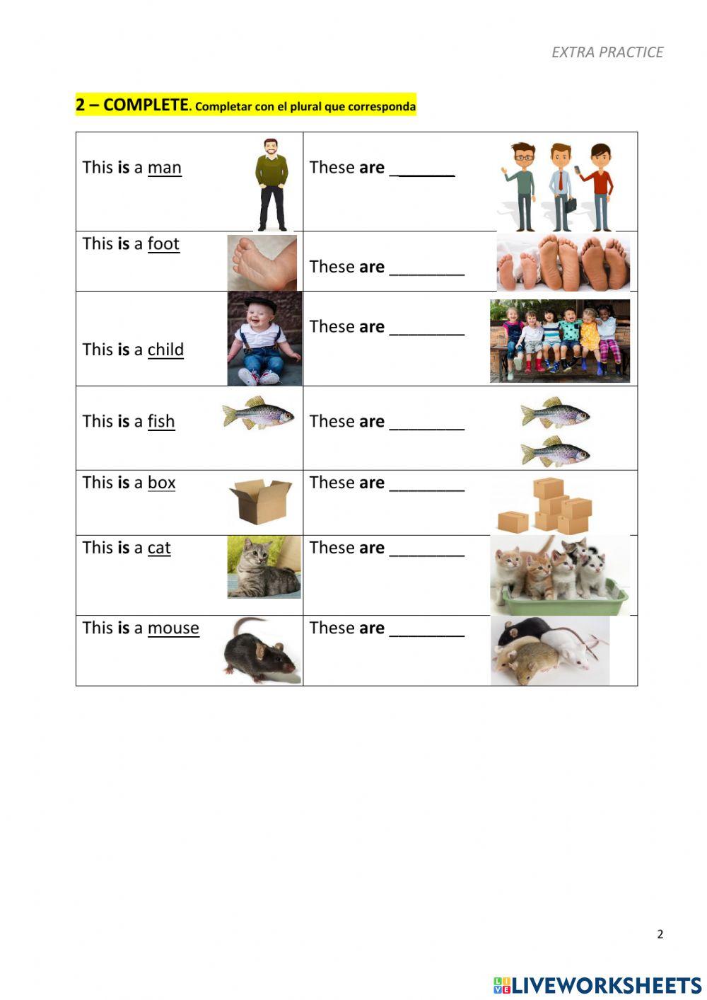 To be. Possessive adjectives. Shapes. Personal pronouns
