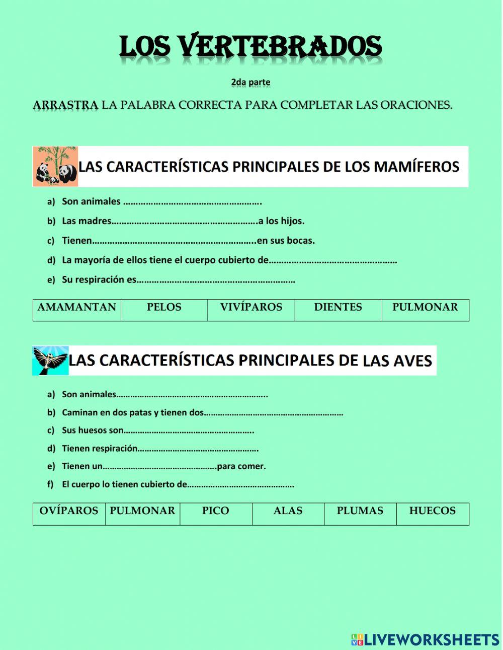 Vertebrados 2da parte