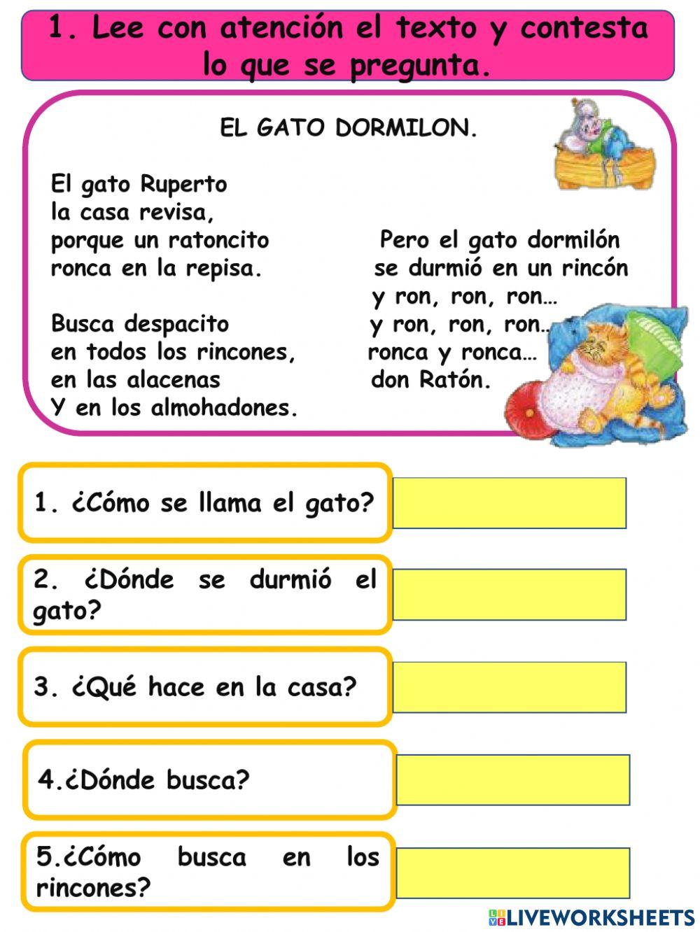 Ejercicios de español