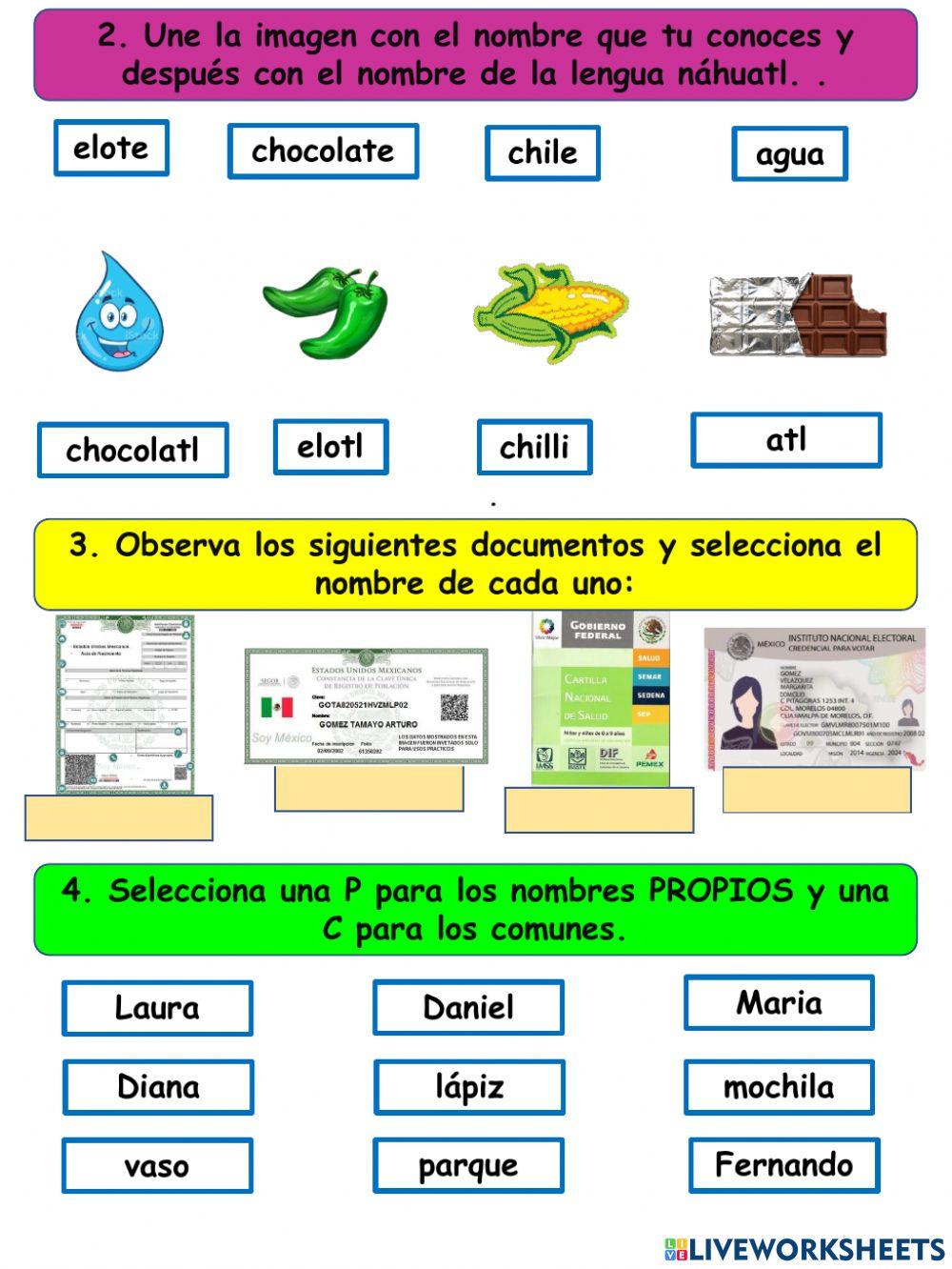 Ejercicios de español