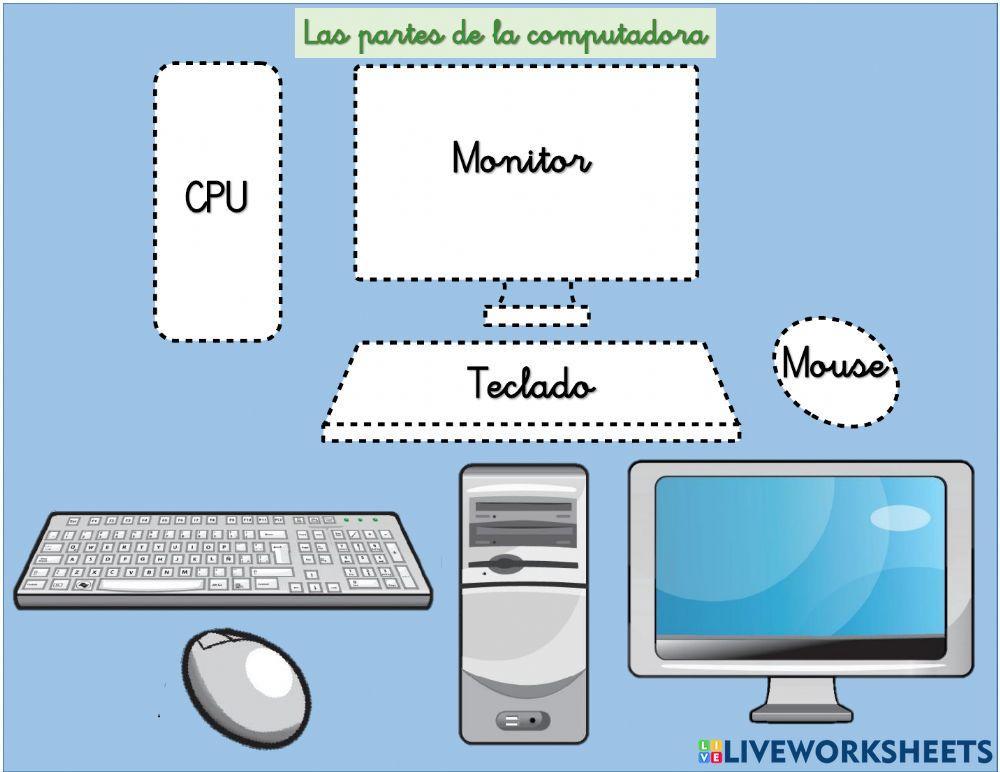Las partes de la computadora Las partes de la computadora