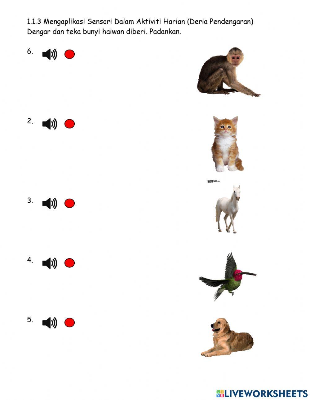 (W3) 1.1.3 Aplikasi Sensori (Deria Pendengaran)