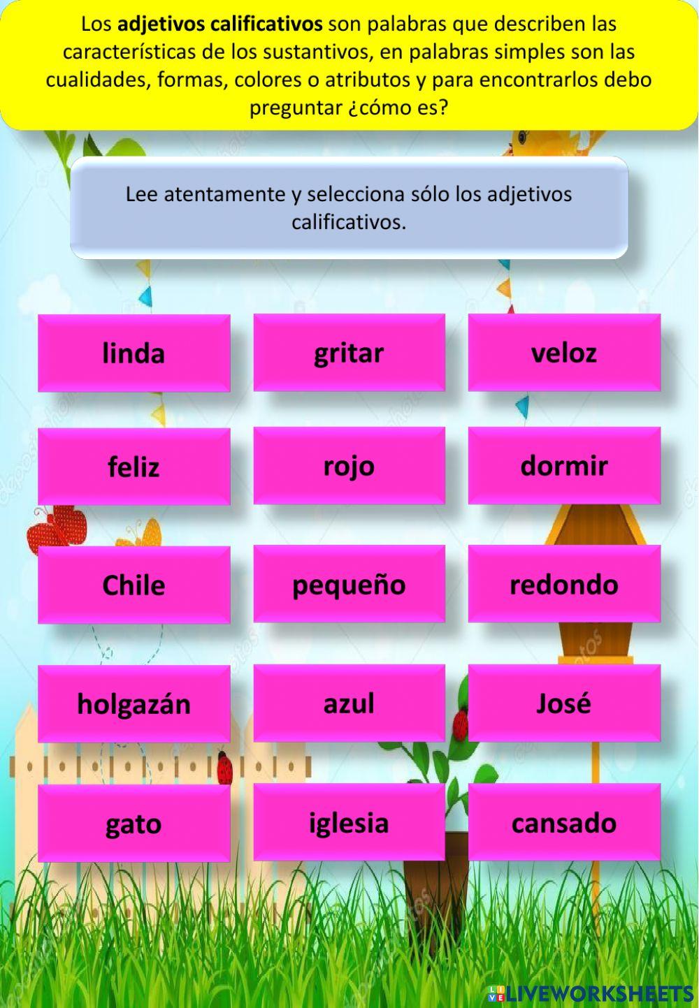 Refuerzo sustantivos y adjetivos