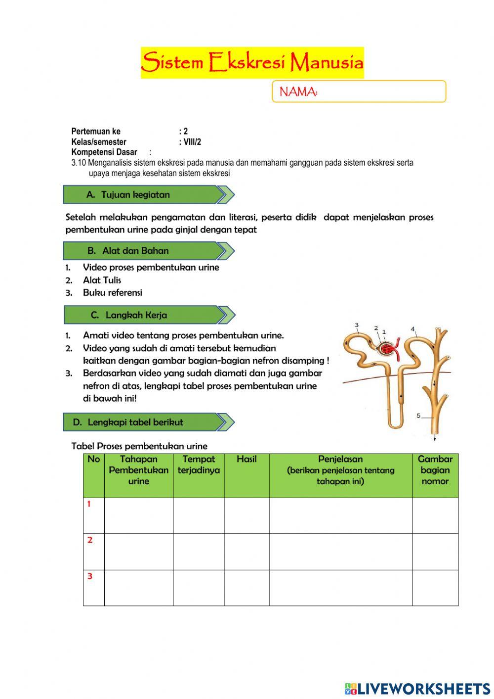 LKPD pembentukan urine