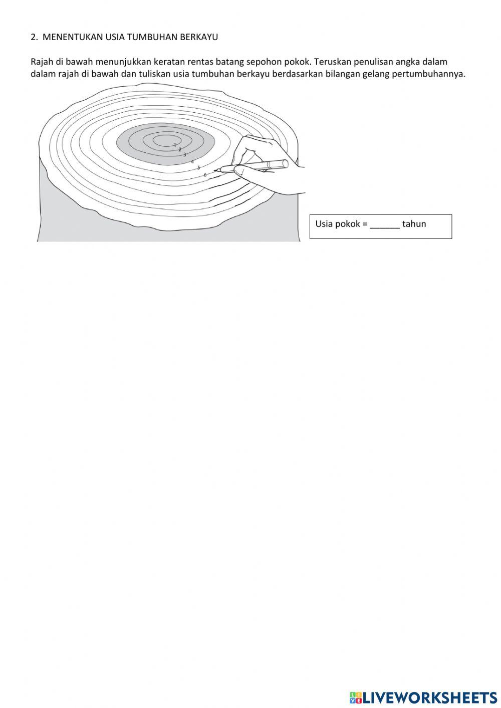 6.3 sokongan, pertumbuhan dan kestabilan dalam tumbuhan