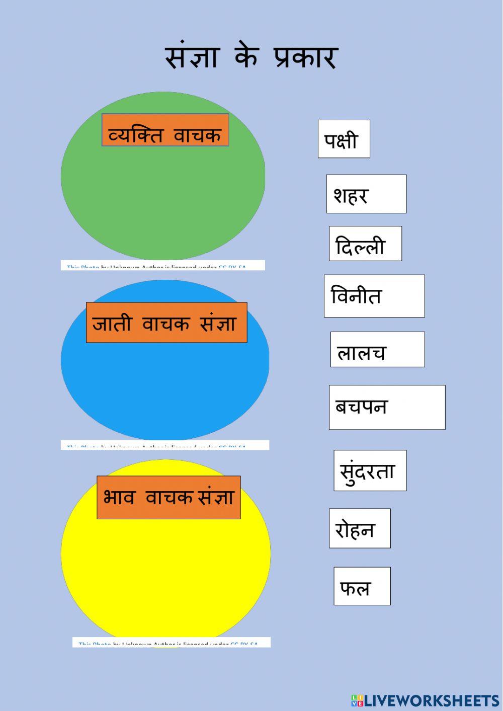 Types of sangya