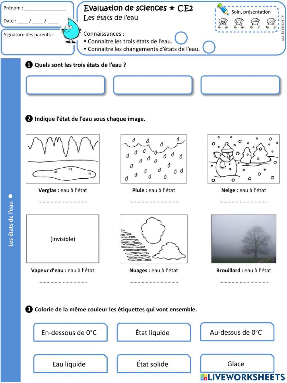 évaluation états De L eau Ce2 Pdf Evaluation : l'Eau worksheet | Live Worksheets