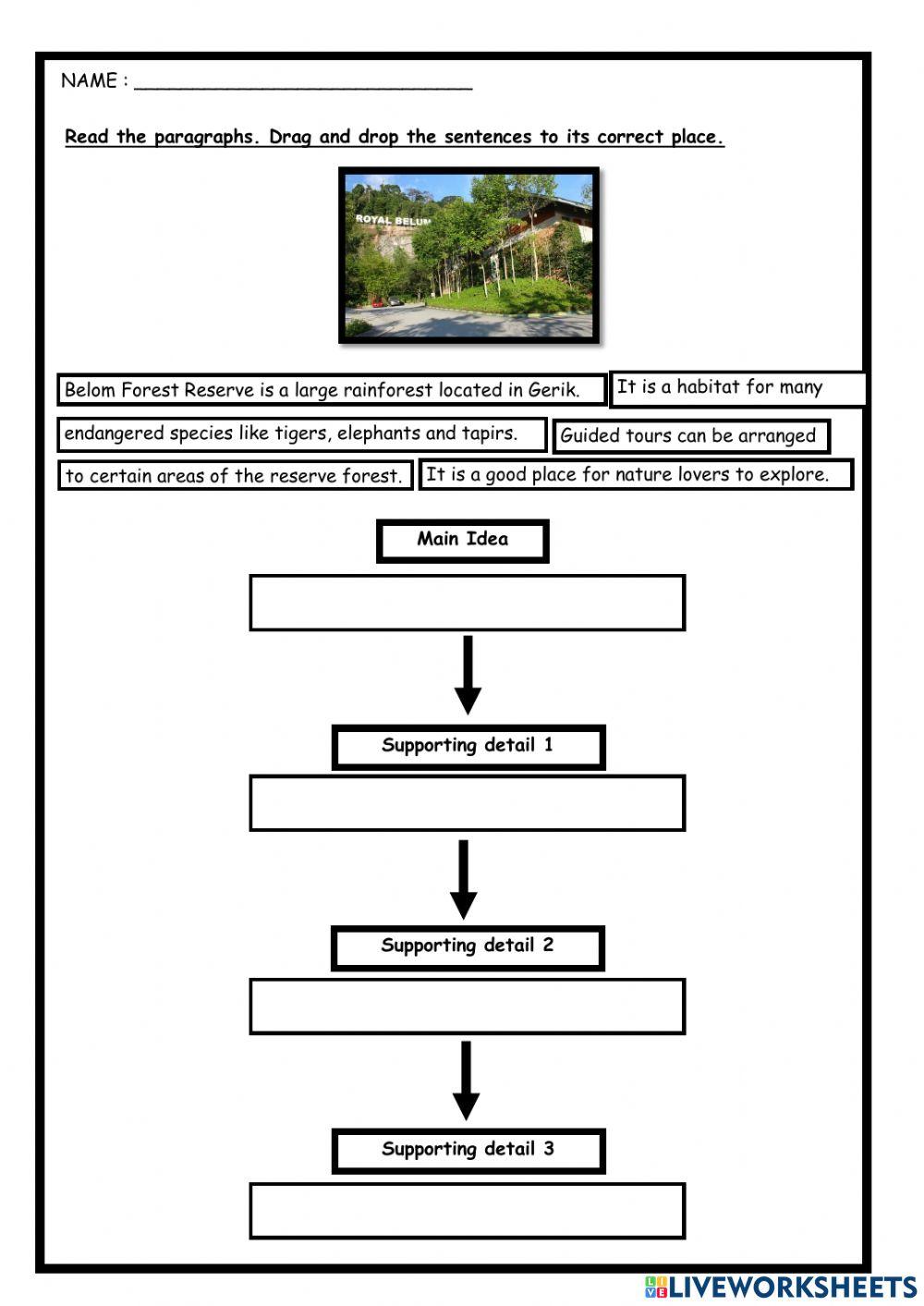 Main Idea & Supporting Details