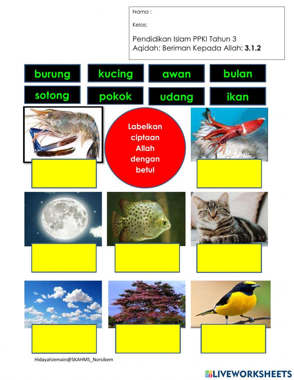 Beiman Kepada  Allah PPKI THN 3