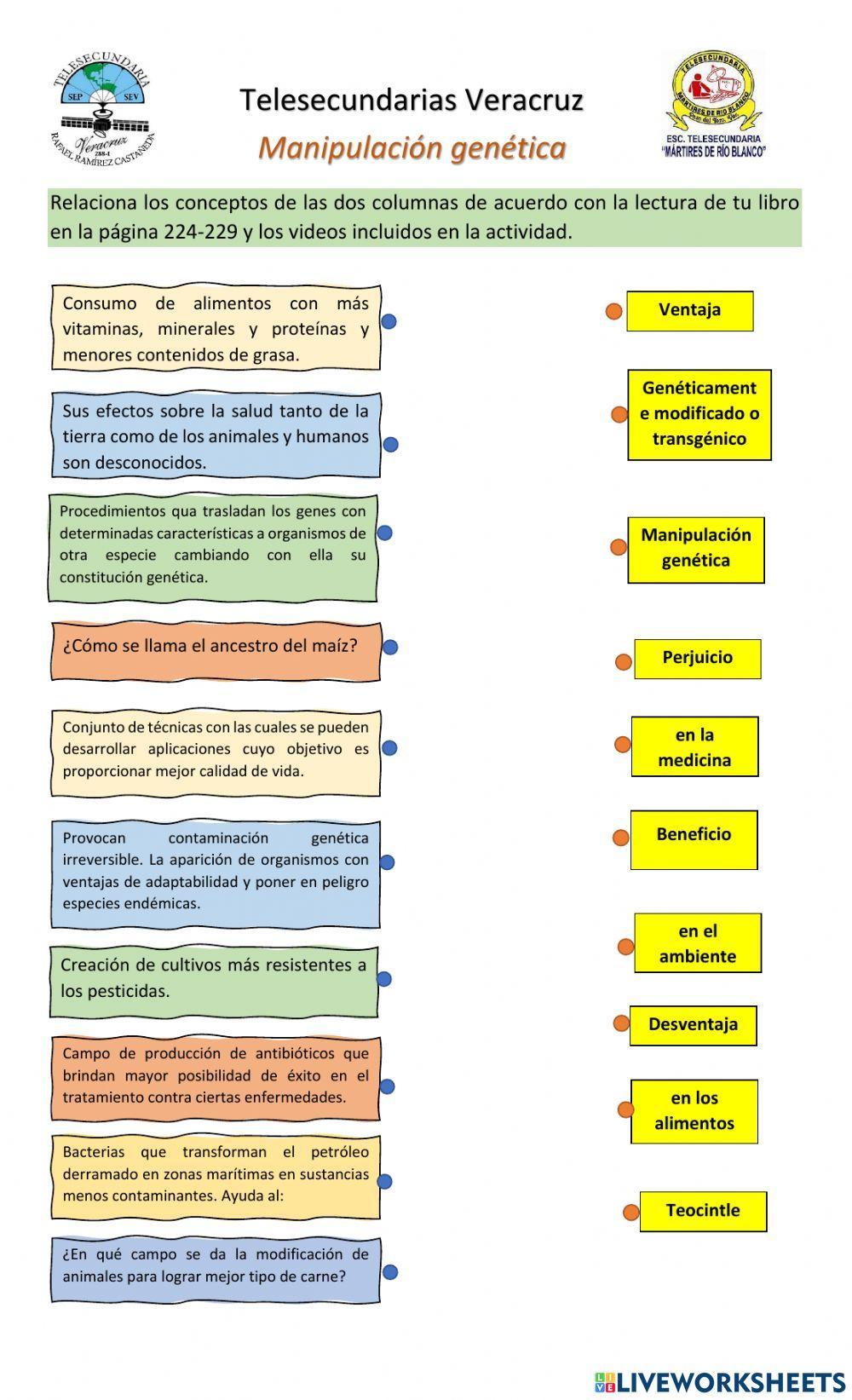 Manipulación ge… | Free Interactive Worksheets | 1089720, image size:1000x1643