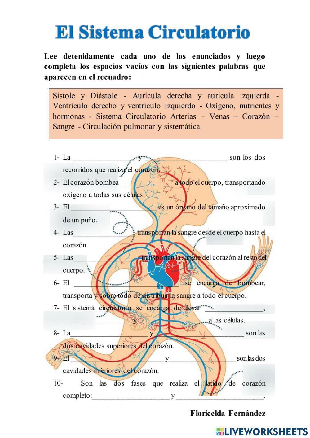 El Sistema Circulatorio.