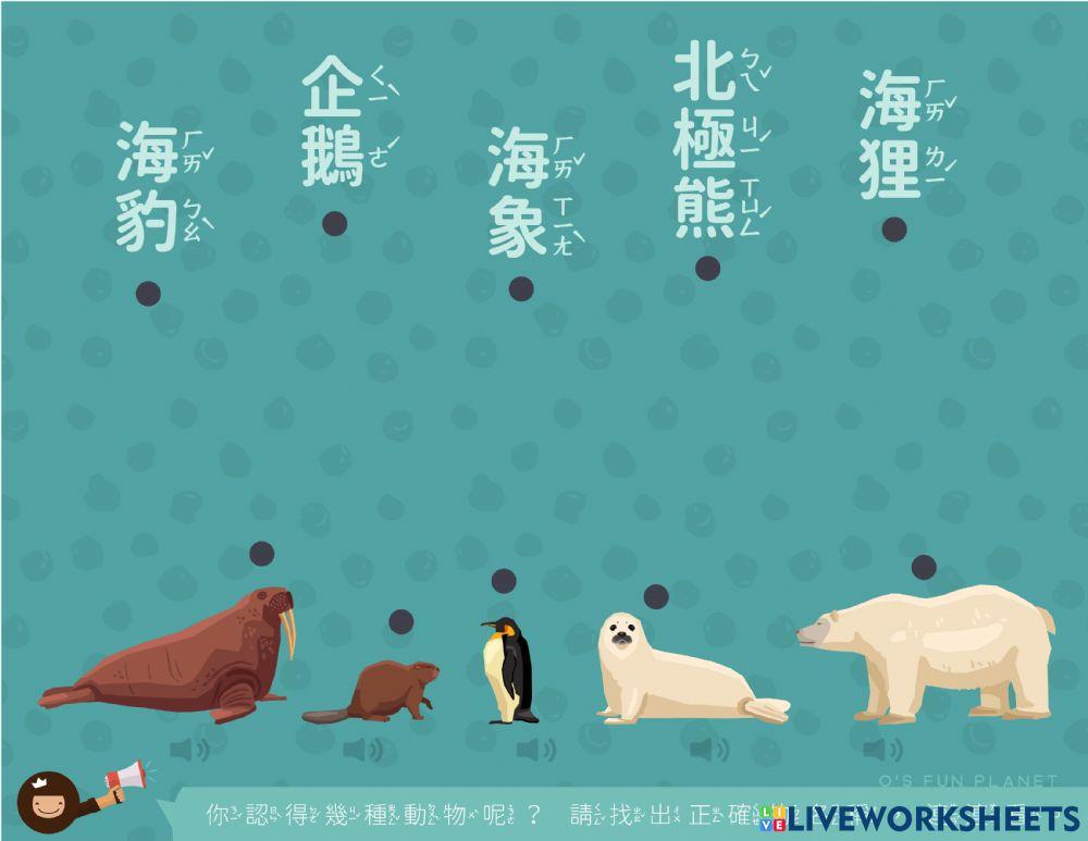 中文注音－認識動物遊戲（一）