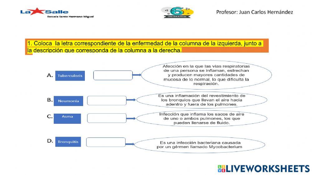 Sistema Respiratorio