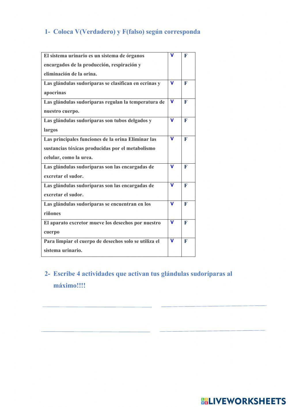 Clasificación del sistema excretor