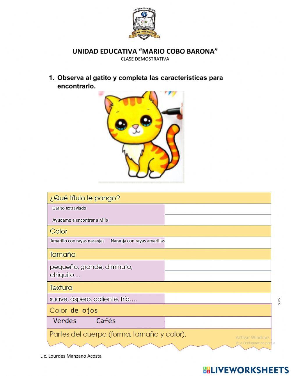 Descripción del gato