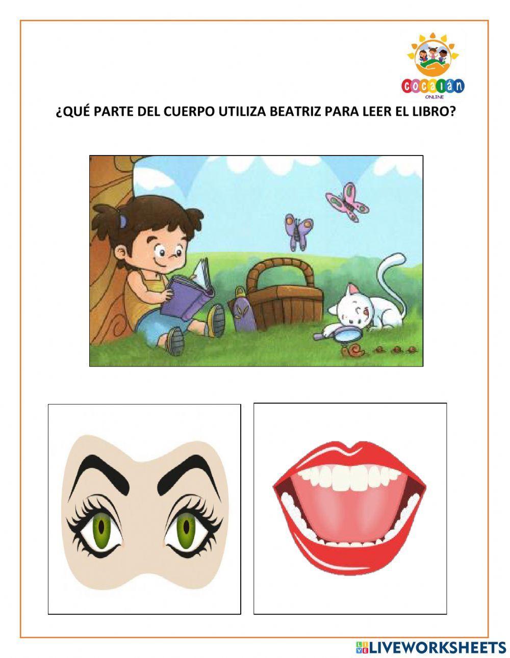 EVALUACIÓN ESQUEMA CORPORAL 