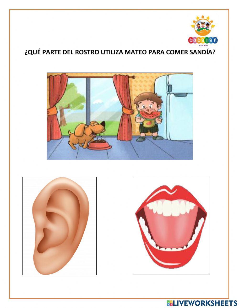 EVALUACIÓN ESQUEMA CORPORAL 