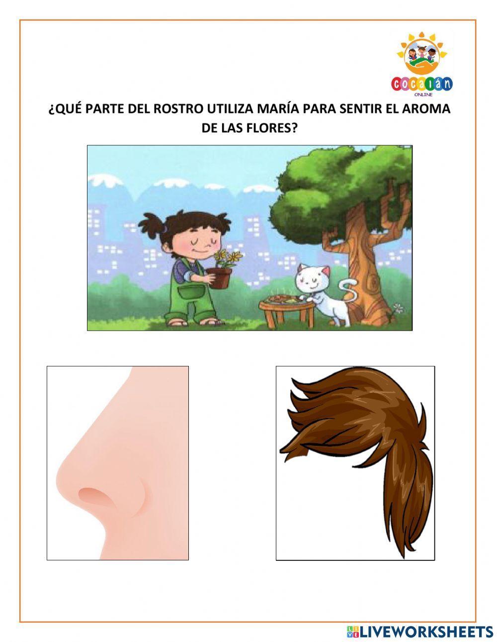 EVALUACIÓN ESQUEMA CORPORAL 