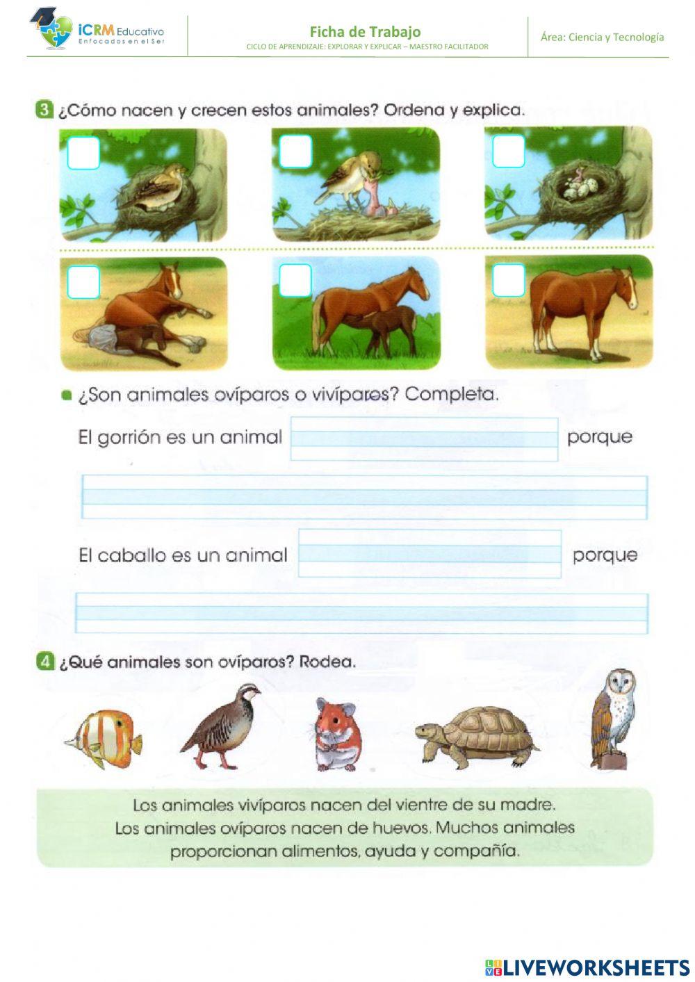 Los animales